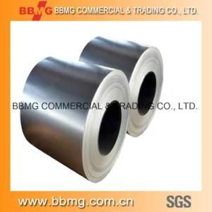 Competive Price Prime Galvanized Steel Coil/Gi