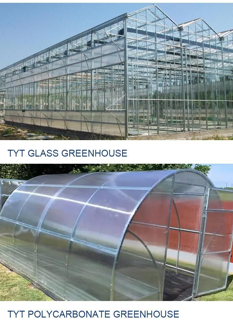 Lowest Price, Planting Greenhouse, Farming Greenhouse, Greenhouse Accessories, HDG Pipe Structure