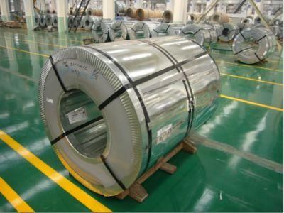 304 316L Food Grade Stainless Steel Coil Price