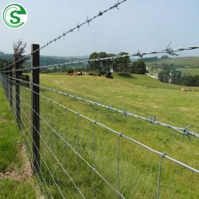 Factory Price Airport Protective Steel Hot DIP Galvanized Barbed Wire for Border