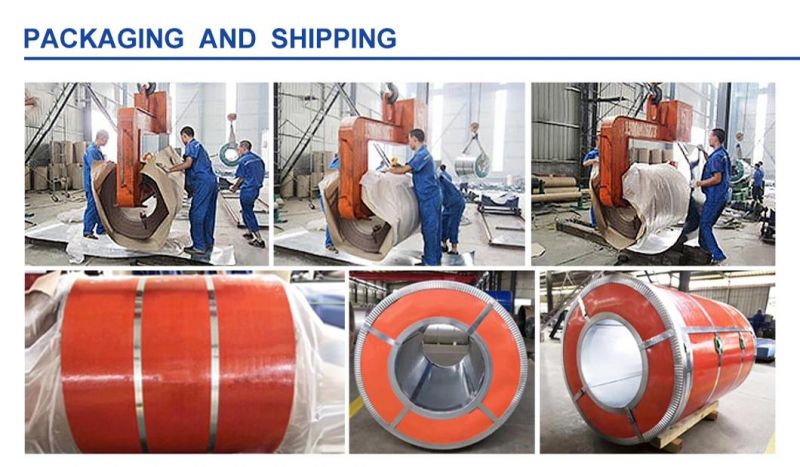 High Quality Hot Dipped Prepainted Galvanized Color Zinc Coated PPGI PPGL Prepainted Steel Coil