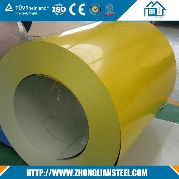 Pre-Painted Color Steel Coil (PPGI/ PPGL)