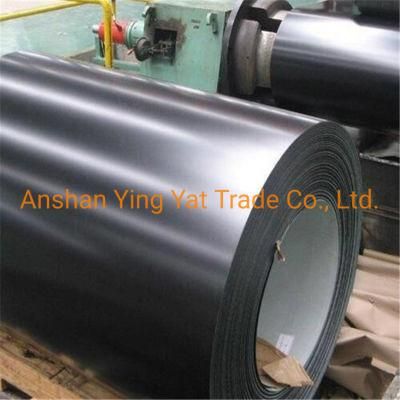 Hot Rolled Color Coated Steel Coil Galvanized Steel Sheet in Coil From Angelina