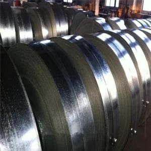 Galvanized Steel Sheet or Coil SGCC/Sgch