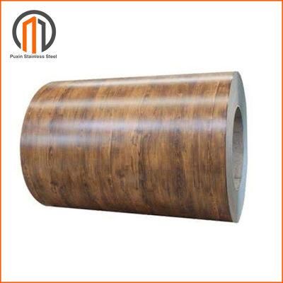 PPGI Coil Steel Ral 9016 Ral 9002 Ral 4013 Color Coated Iron Coil Price Per Ton