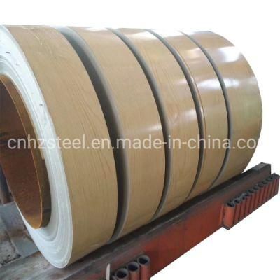 Chinese Factory High Quality Prepainted Color Coated Steel Coil PPGI PPGL Galvanized Steel for Roofing Sheets