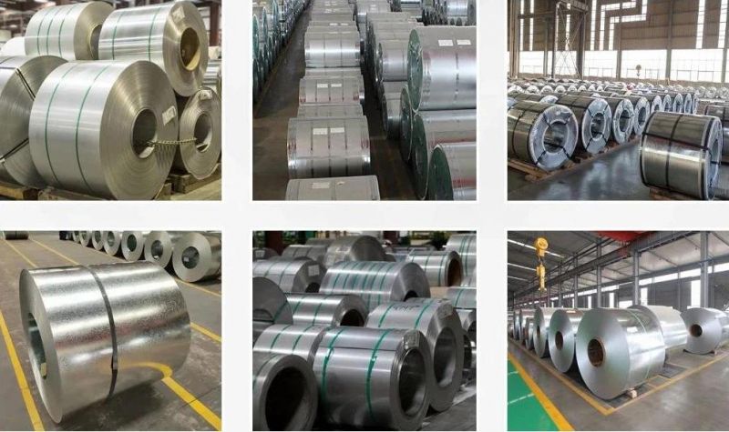 Top Quality 0.125-0.8mm Thickness Hot Dipped Galvanzied Steel Coils