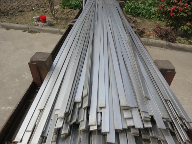 Stainless Steel Small Flat Strip