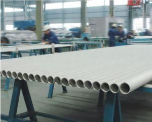 Seamless Stainless Steel Tube (TP321/1.4541)