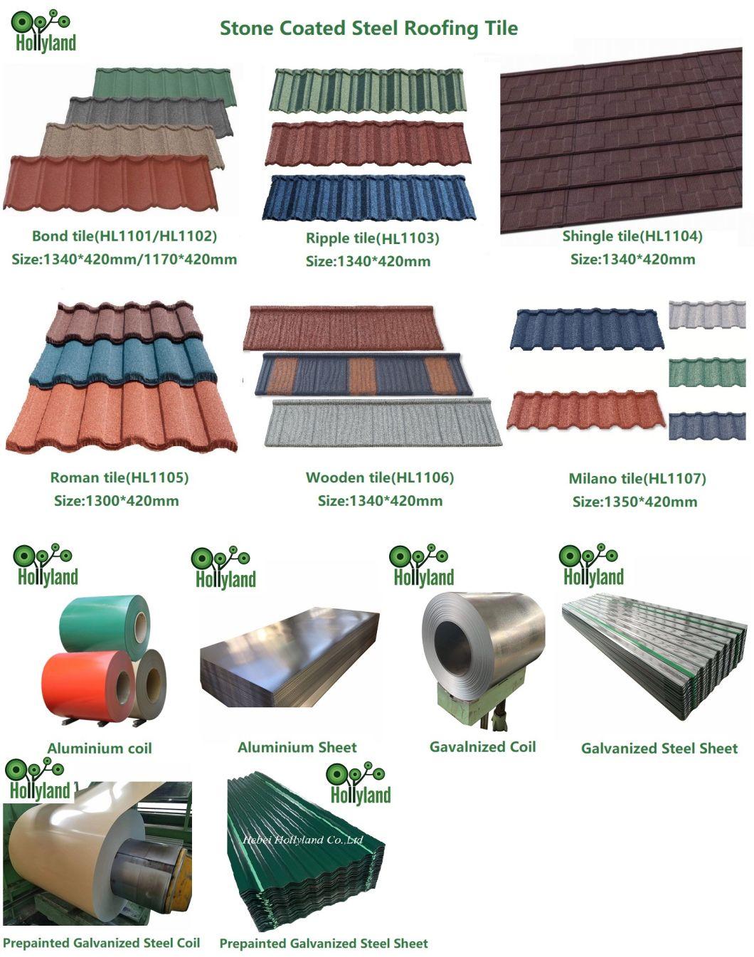Metal Roofing Tile Cold Rolled Hot Dipped Prepainted Galvanized Steel Coil PPGI PPGL Coils