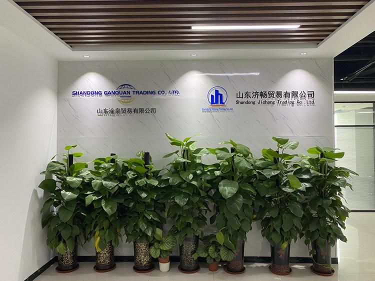 G90 Galvanized Sheet Metal Price Per Pound Shandong Steel Hot Dipped Galvanized Steel Coil
