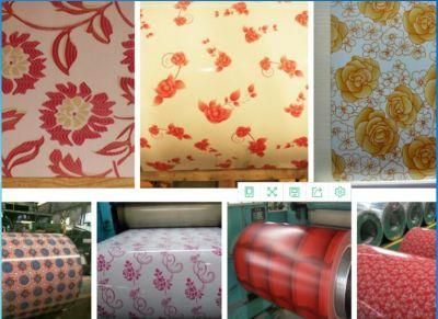 Color Coated Steel Coil/Prepainted Steel Sheet/Packaging Industry