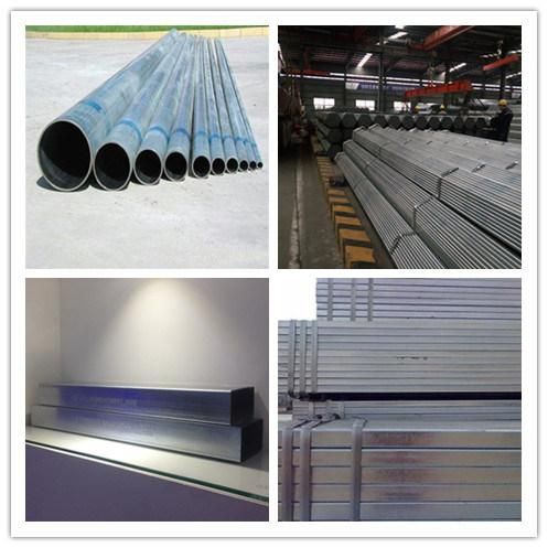 Pre Galvanized Square Steel Pipe/ Steel Tube