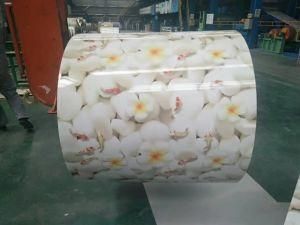 Flower Color Coated Steel Design Pattern PPGI for Wall Panel Raw Material for Building