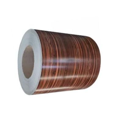 High Quality Factory Price PPGI Steel Coils Prepainted Galvanized Coil From Shandong