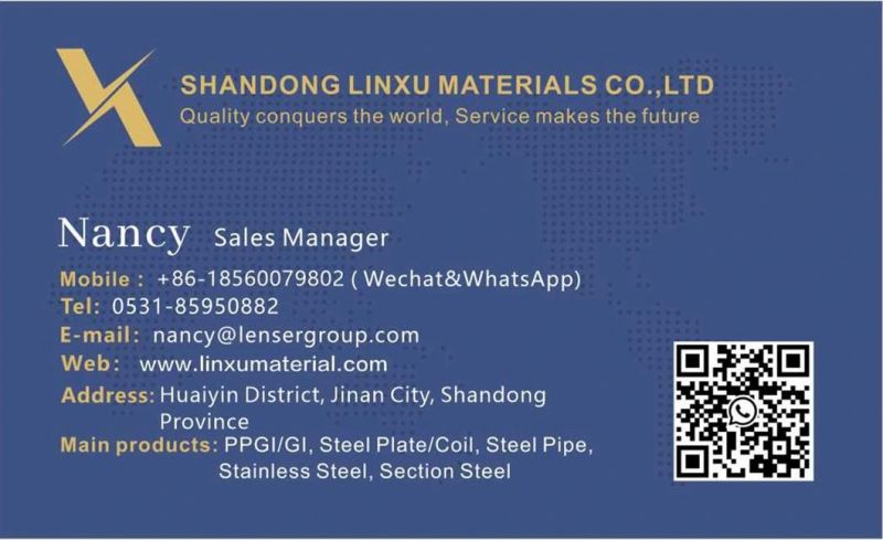 Galvanized Steel Steelgalvanized Galvanized Sheet Price Galvanized Steel Sheet/Plate
