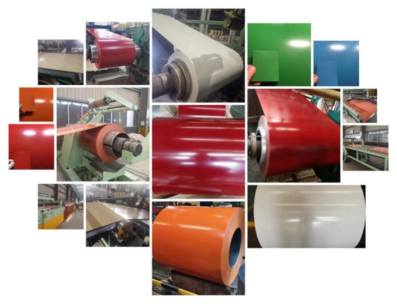 Ral Color Coated Steel Coils PPGI for Roofing Building Supply