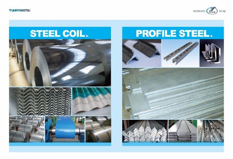Tyt Hot Dipped Galvanized Steel Tube for Export