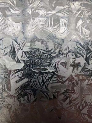 Gi Hot Dipped Galvanized Steel Coil with High Quality Dx51d 1220X0.12