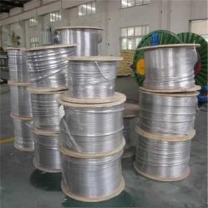 ASTM 304 Stainless Steel Coil Tubes From China with Competitive Price