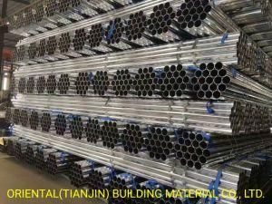 Pre Galvanized Steel Round Pipe and Pre Galvanized Steel Square Pipe