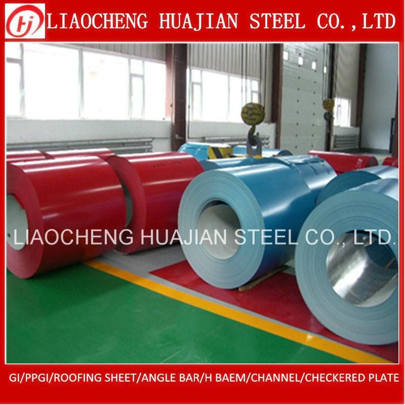 Hot Prepainted Galvanized Steel Coil for Building