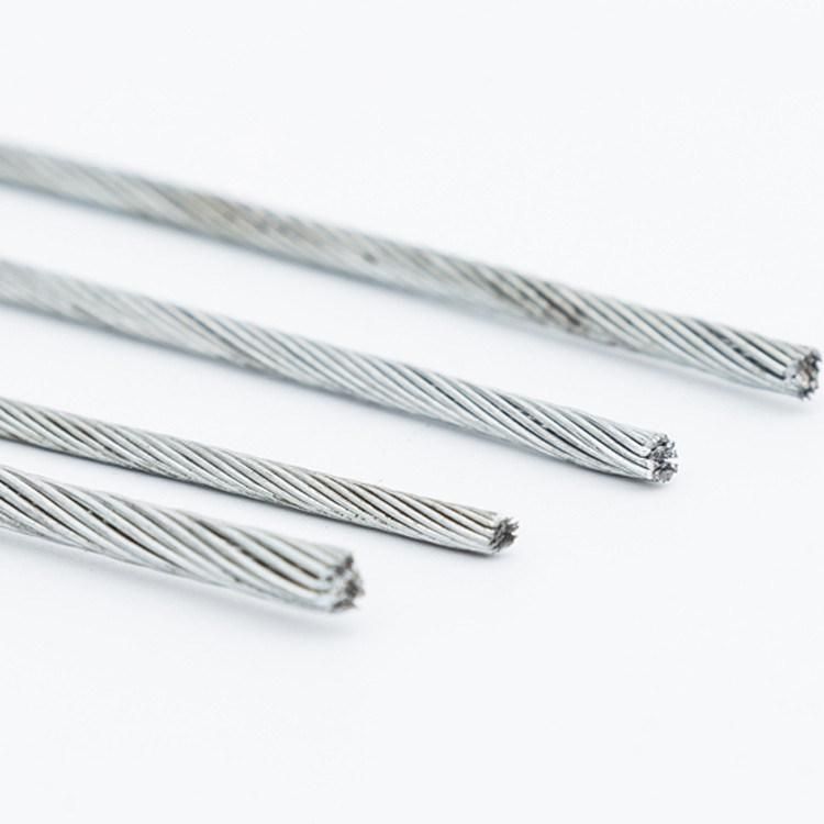 China Supplier IEC and AWG Standard 10 Gauge Galvanized Steel Wire