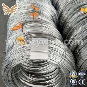 High Quality 3.0 mm Galvanized Steel Wire/Iron Wire Manufacturer