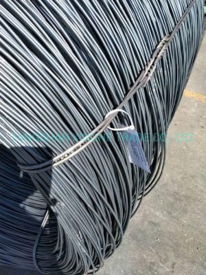 SAE1006 SAE1008 SAE1012 SAE1018 SAE1022 Ms Wire Rod Coil
