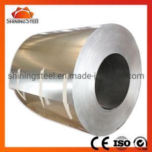 First Class Galvanized Steel Coil for Building Materials Using