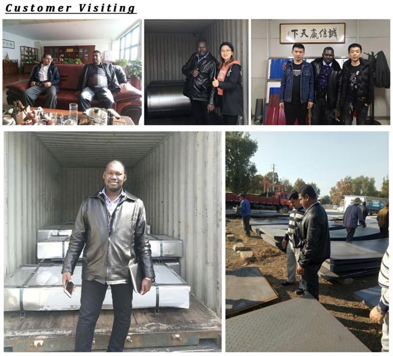 China Popular Hot Rolled Steel Sheet in Coil Non Alloy