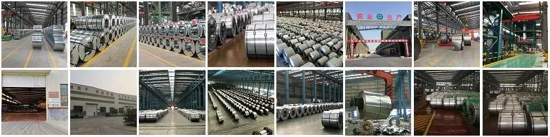 Galvanized Steel Coil SGCC, Dx51d and Q195 Steel Coils 0.12-1.2mm Thickness Zinc Coated Cold Roll Metal Coil for Construction