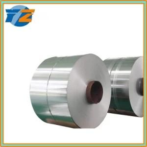 Factory Price 304 Cold Rolled Strip Stainless Steel Coil