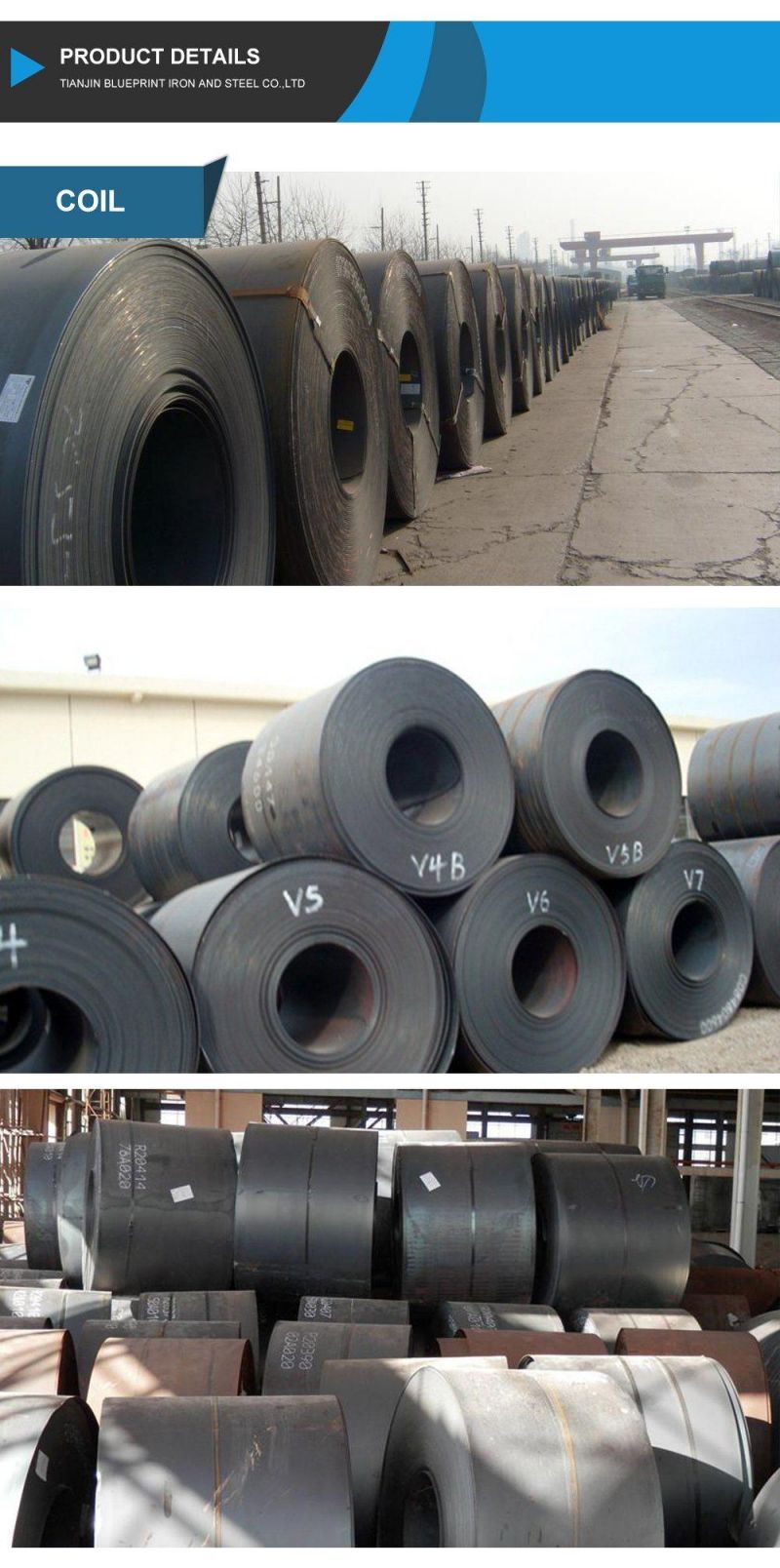 Carbon/AISI Ss201 304L 304 316 309S 910 2b Surface Stainless/PPGI Color Coated Gi Galvanized /Corrugated Roofing Steel Coil for Constructions Building
