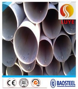 317L Stainless Steel Tube/Pipe Used in Construction