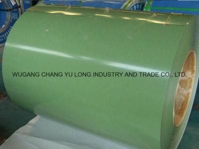 PPGI Coil Painted Coil, Steel Coil