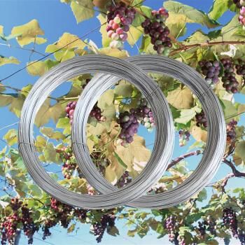 8 Gauge 9 Gauge Low Carbon Galvanized Iron Wire for Grape Trellis