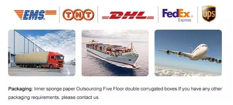 Manufacturer Galvanized Steel Coil DC01 Dx51d Zinc Coated Coil Roll PPGI Hot Dipped Steel Coil