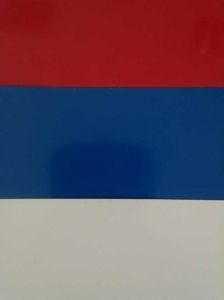 Prepainted Galvalume Steel in Coil Prime Quality