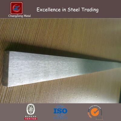 Stainless Steel Flat Bar (CZ-F62)