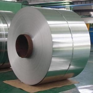 Competitive Stainless Steel Coil (317L Grade)
