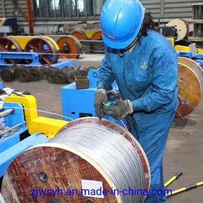 Free Cutting Steel Special Use and DIN, BS, ASTM, JIS, GB, JIS, ASTM, GB, BS, DIN, AISI Standard Electro Galvanized Wire