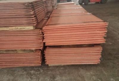 AISI C10100 High Quality Decorative Pure Copper Sheet