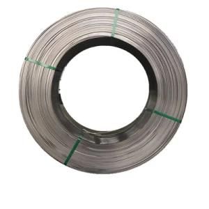 202 Grade Shaped Stainless Steel Wire