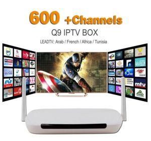 Android TV Box Q9 Media Player DDR3 1g/8g WiFi 1 Year IPTV Subscription Leadtv IPTV Account Europe Arabic Sky IPTV Channels
