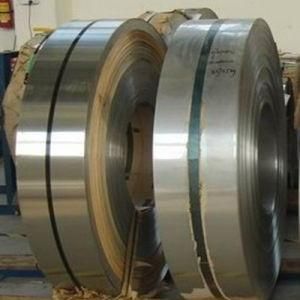 Premium Quality Stainless Steel Coil (201, 304, 316, 409, 410)