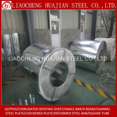 Regular Spangle Hot DIP Galvanized Steel Sheet in Coils