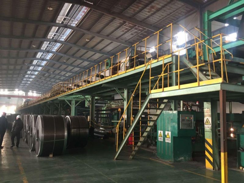 Prepainted Galvanized Steel Coil/Sheet (PPGI, PPGL)