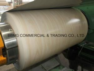 Competitive Price Color Steel Coil PPGI for Roofing Sheet (SC-001)