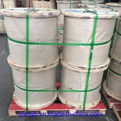 Galvanized Steel Wire Strand/Stay Wire and Earth Wire/Guy Wire/Ehs